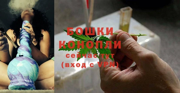 индика Богородицк