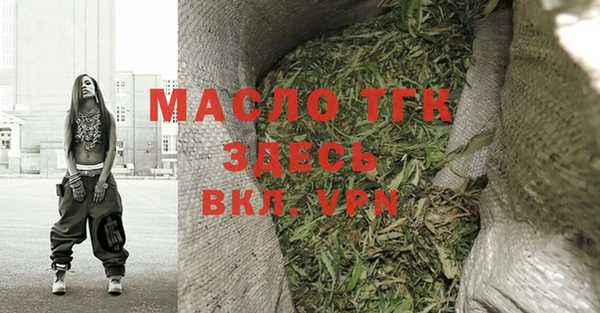 индика Богородицк