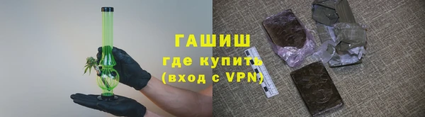 индика Богородицк