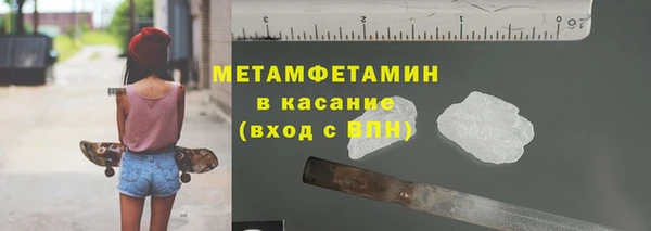 индика Богородицк