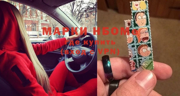 индика Богородицк