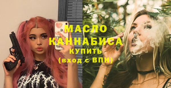 индика Богородицк