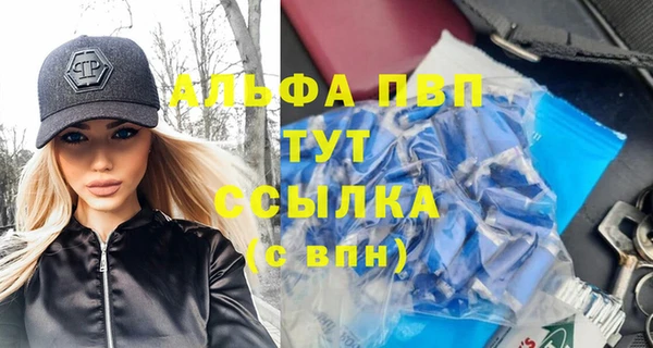 индика Богородицк
