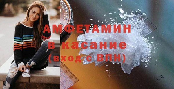 индика Богородицк