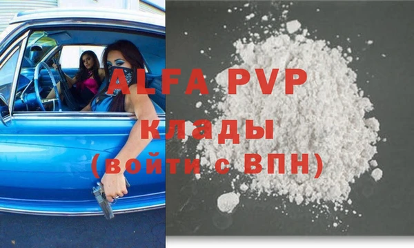 индика Богородицк