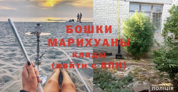 индика Богородицк