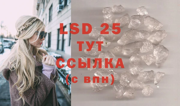 индика Богородицк