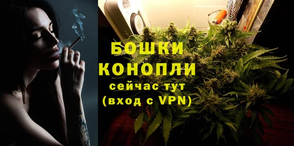 бошки Богданович