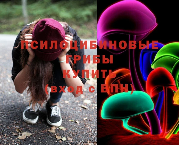 индика Богородицк