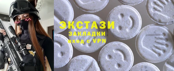 индика Богородицк
