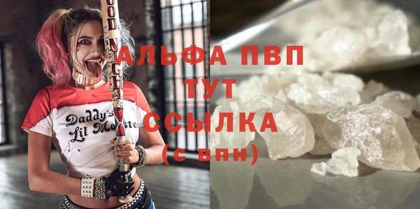 индика Богородицк