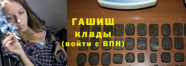 индика Богородицк