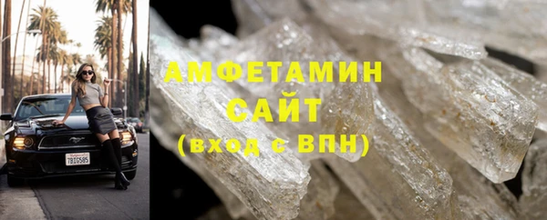 индика Богородицк