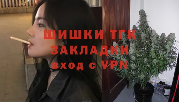 индика Богородицк