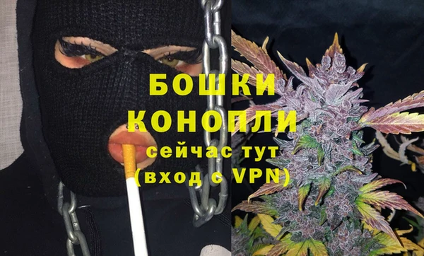индика Богородицк