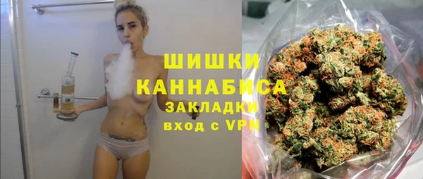 индика Богородицк